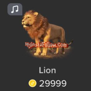 Lion(music) Tiktok Gift